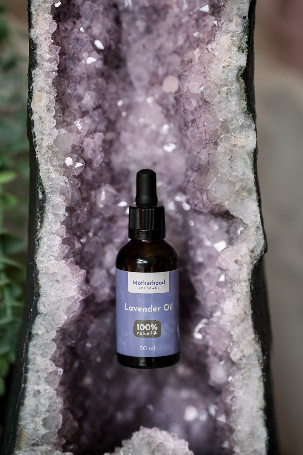 Natuurlijke Lavendelolie | Kalmerende Huidolie 50 ml
